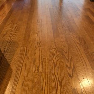 Meet your Posher, Norma